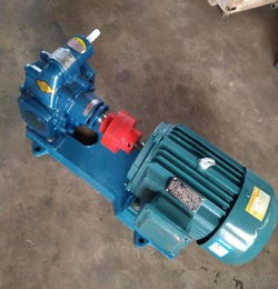 批量销售齿轮泵沥青泵增压齿轮泵润滑油泵